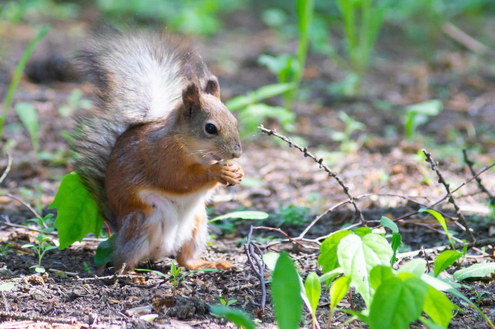 Photograph by Роман Шаров