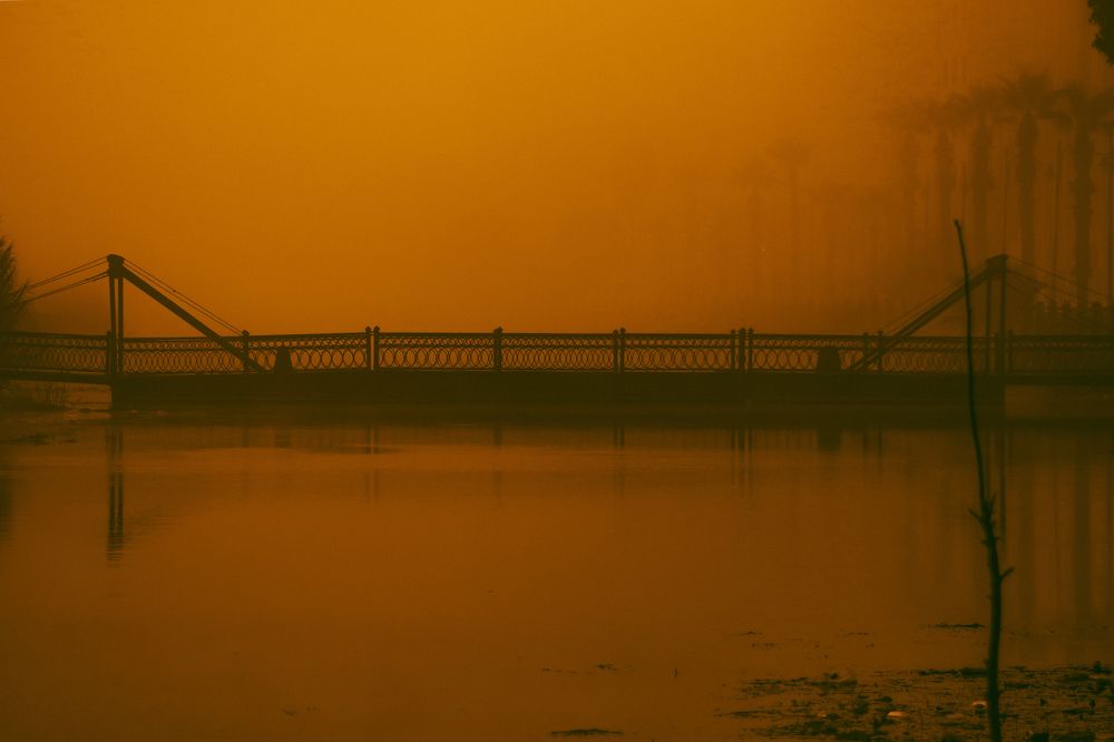 Photograph by Motaz Gohar