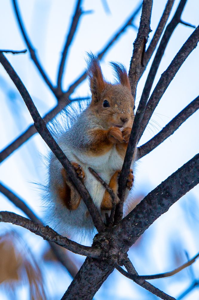 Фотография автора Алексей Новиков