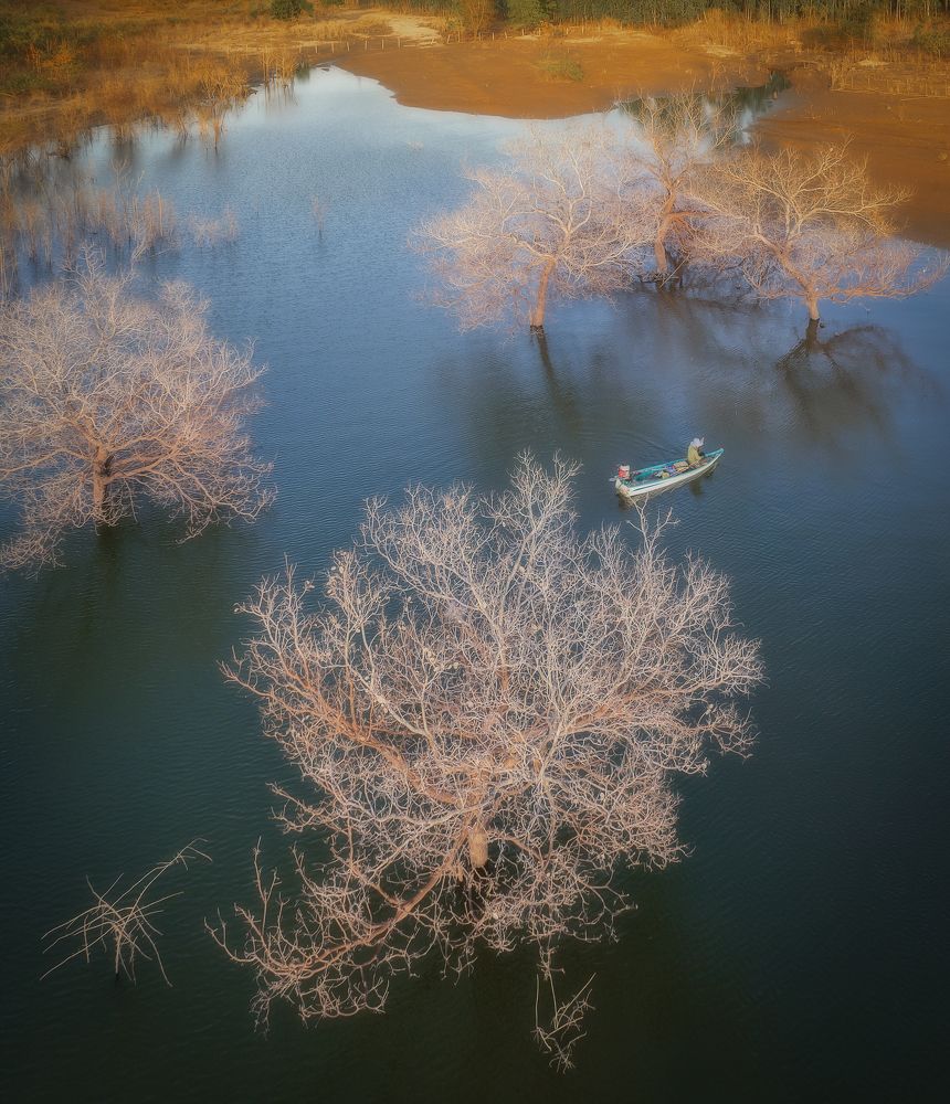 Фотография автора Trieu Nguyen