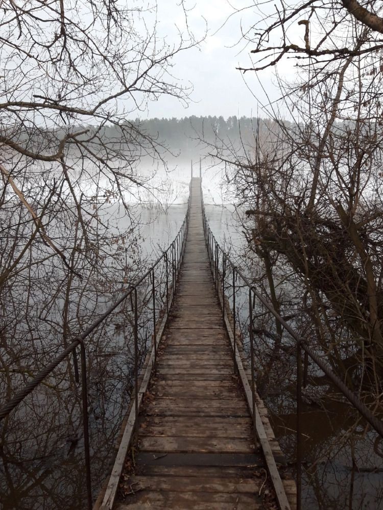Photograph by Tatyana Busorgina