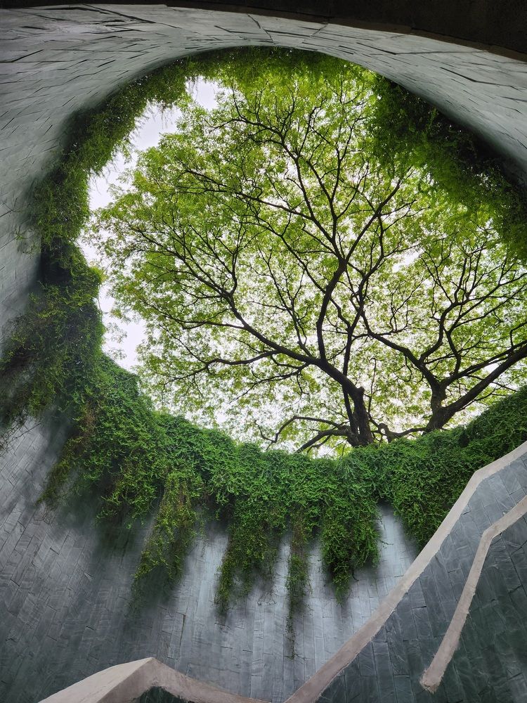 Фотография автора Hepzibah Guna Sakaran