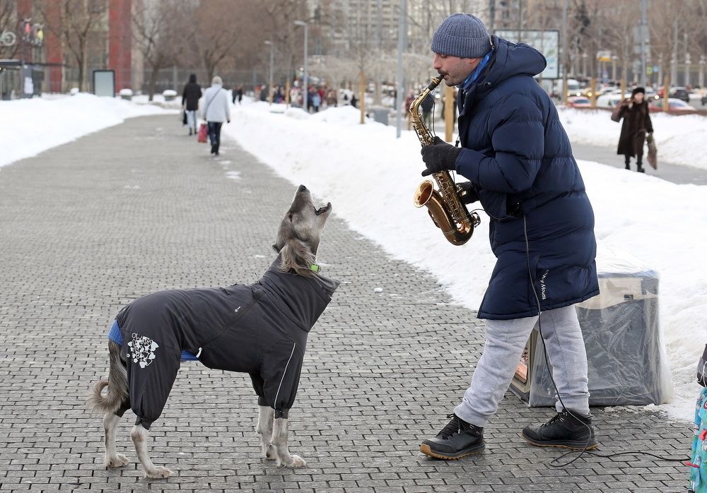 Photograph by Бибичков Михаил