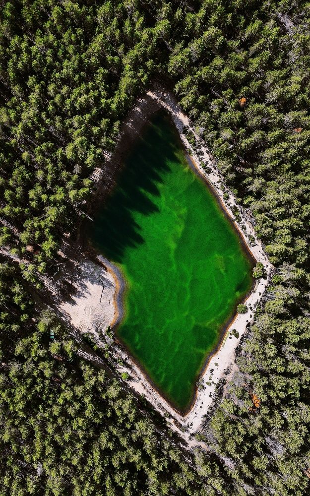 Photograph by Ольга Левакова