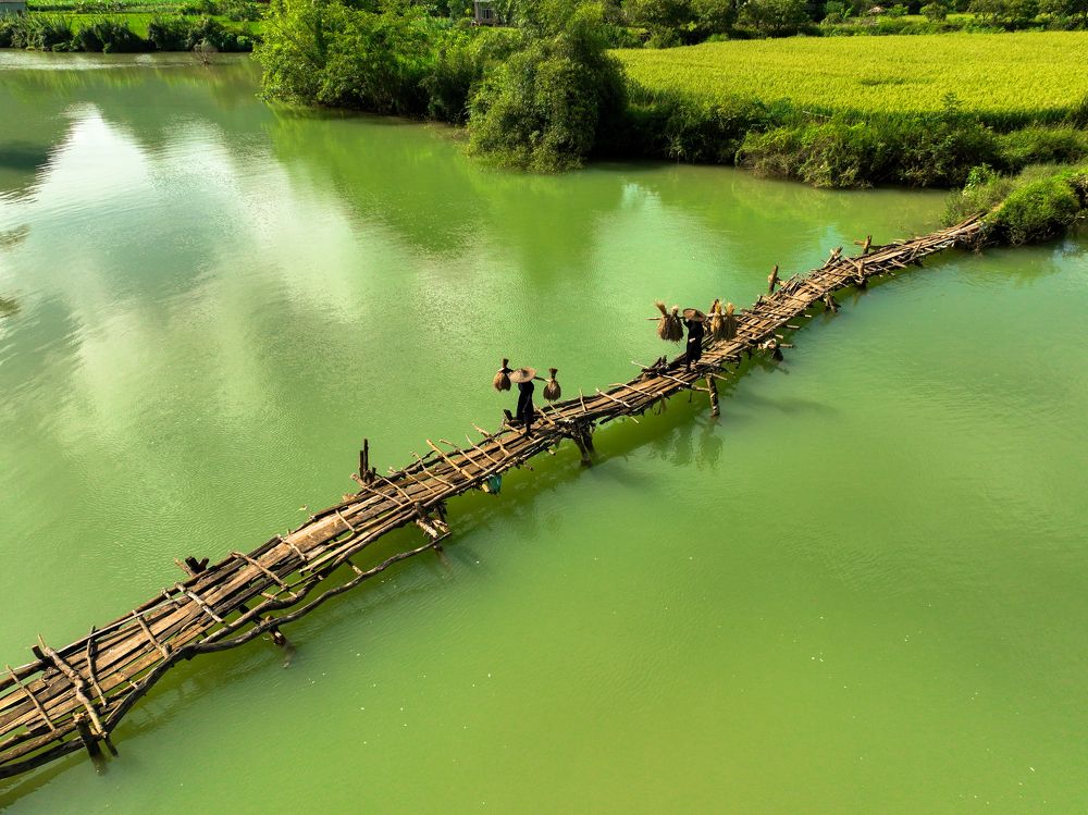 Photograph by Tran Phuong