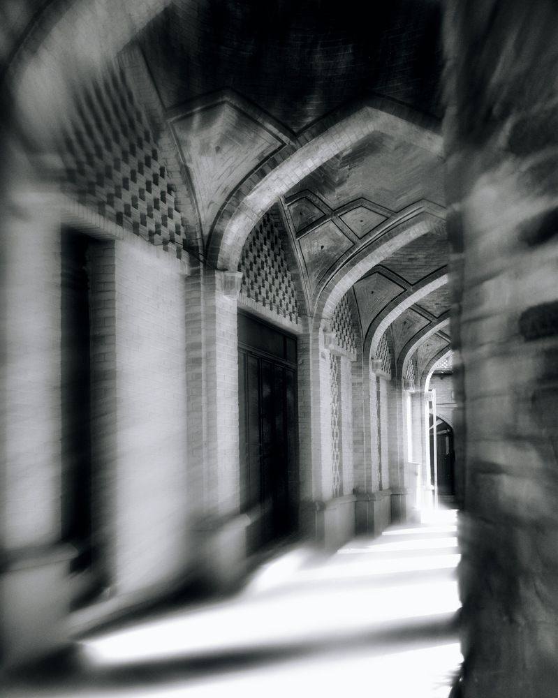 Photograph by Newsha dehghan