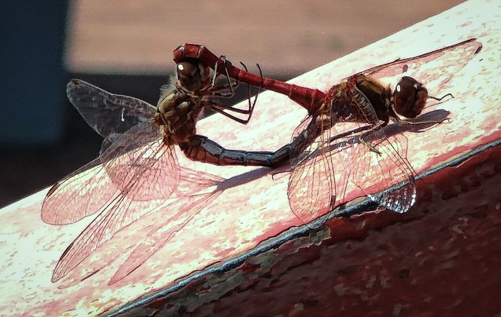 Пока ждали поезд