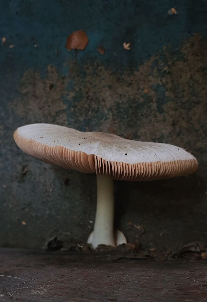 Photograph by Анна Конорова