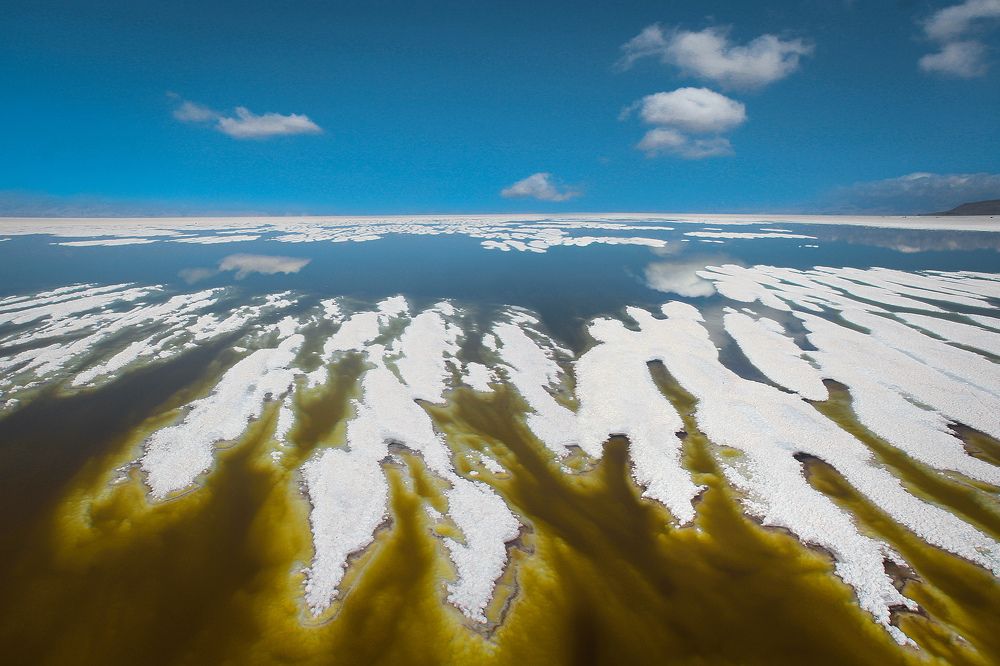 Фотография автора Hosein Davoodi