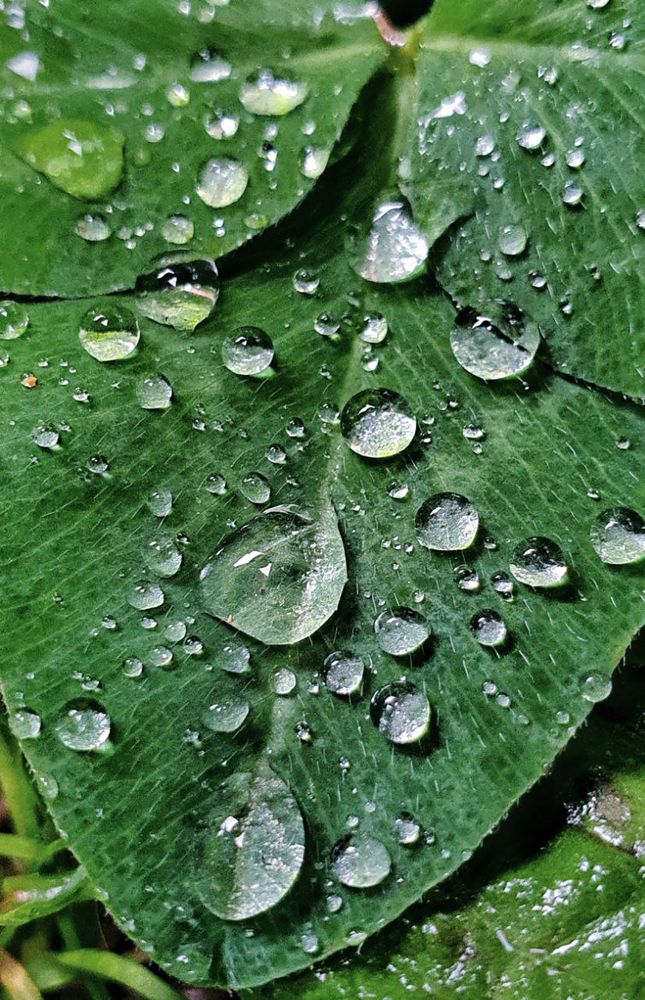 Photograph by Анна Конорова