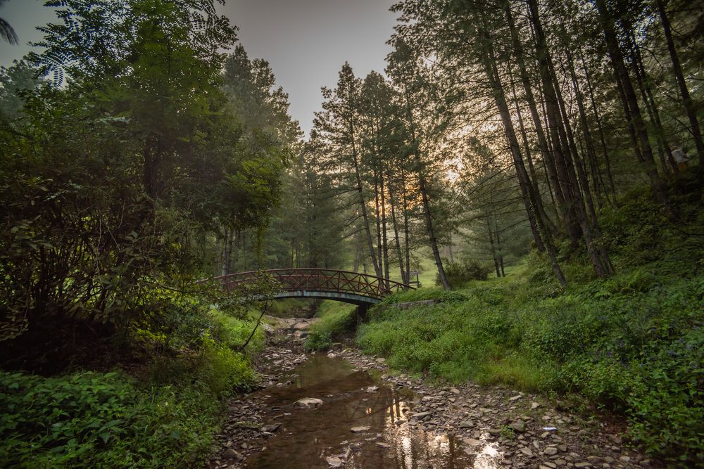 Photograph by Ahmad Bilal Cheema