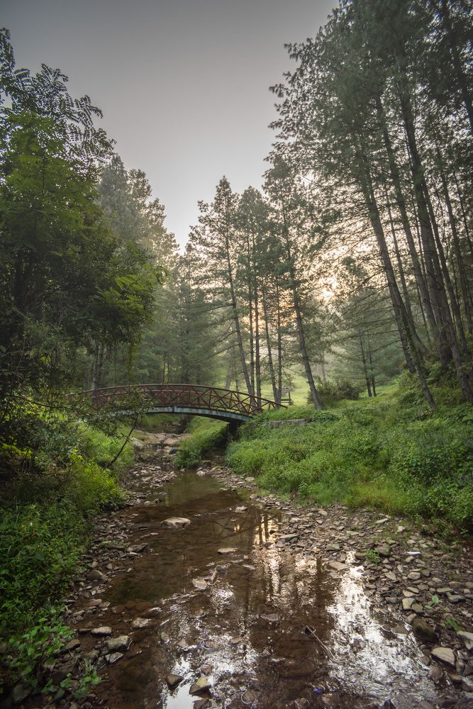 Photograph by Ahmad Bilal Cheema