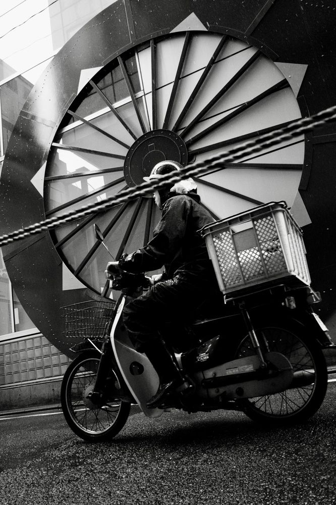 Фотография автора Roma Li