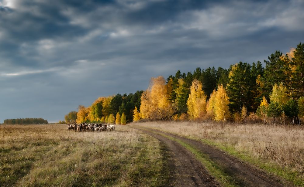 Пора домой...