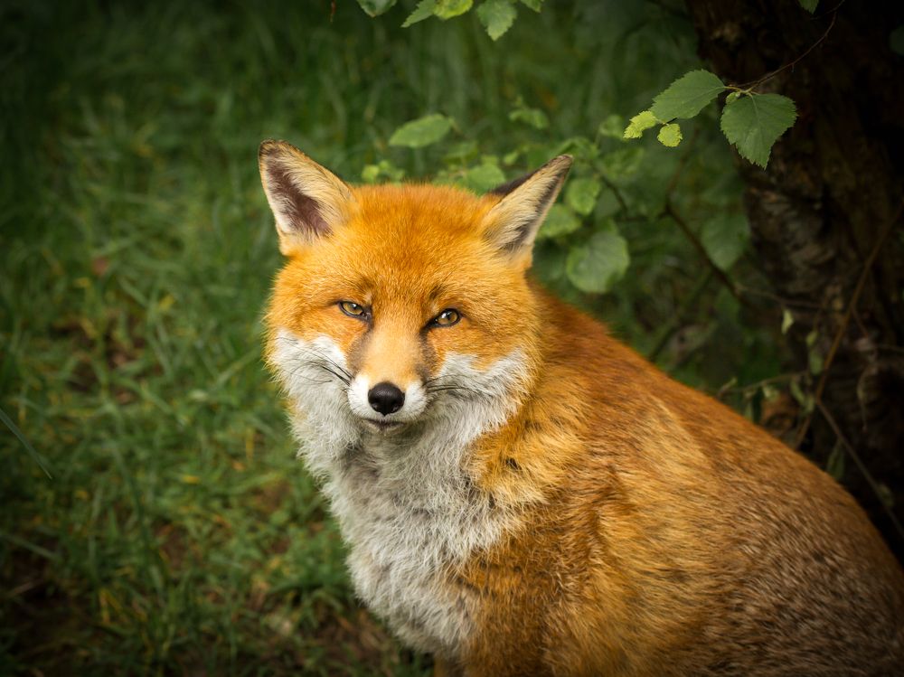 Photograph by Anatoly Chomko