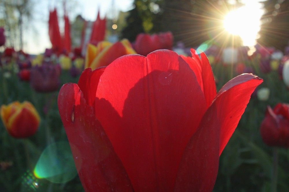 Фотография автора Геннадий Титов