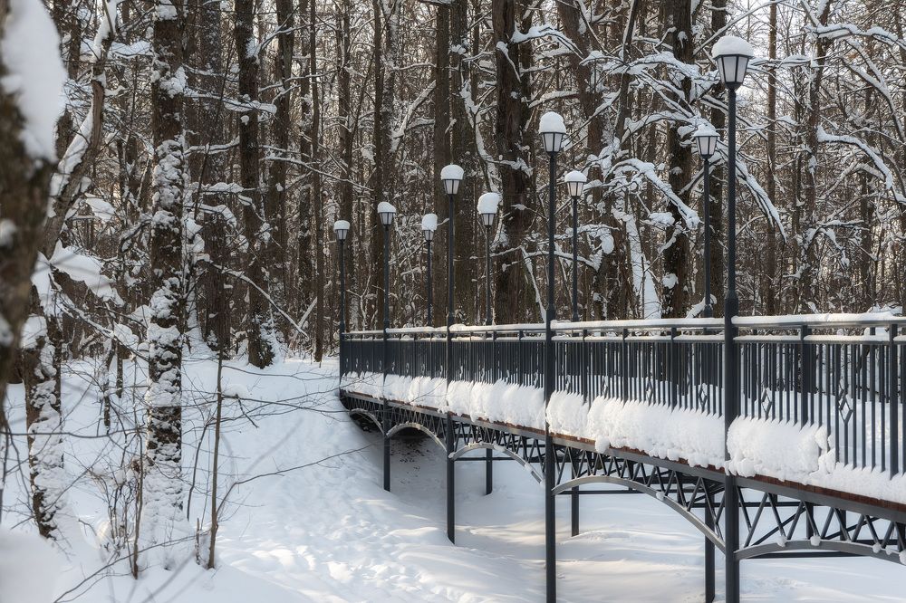 Photograph by Юлия Морозова