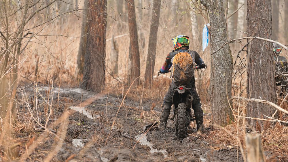 Photograph by Василий Снигирь