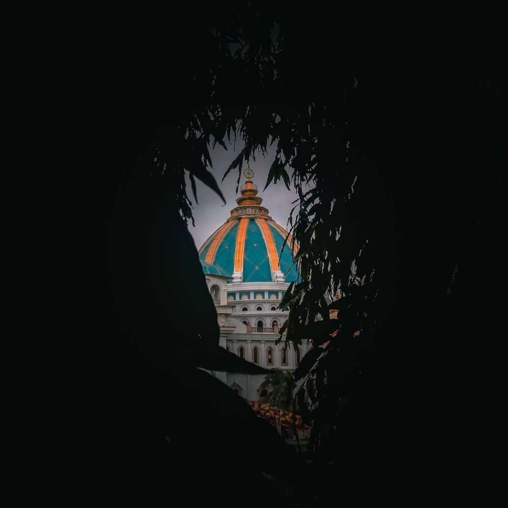 Even in the shadows, the light of wonder finds a way to shine through.