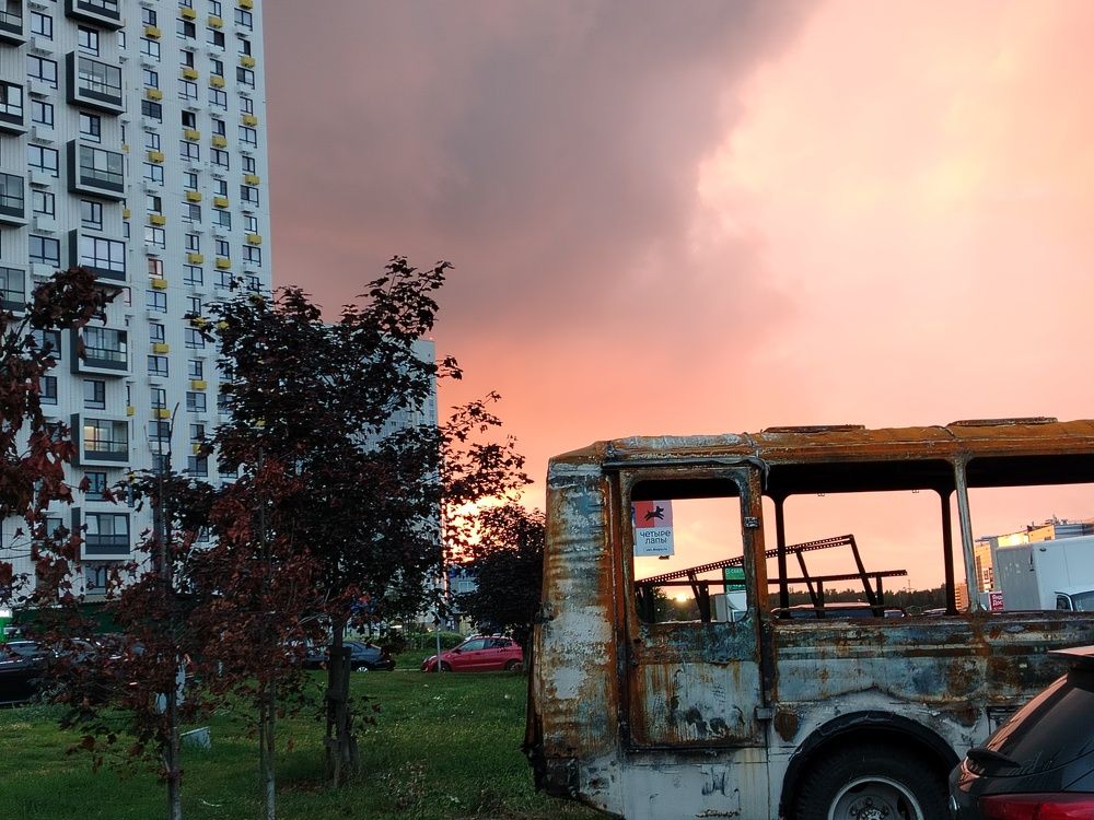 Photo #11002112
