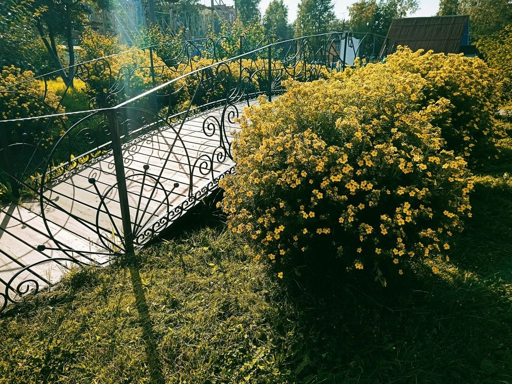 Photograph by Татьяна Бешенкина