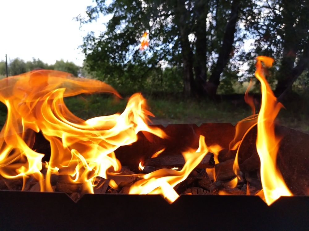 Photo #11002120