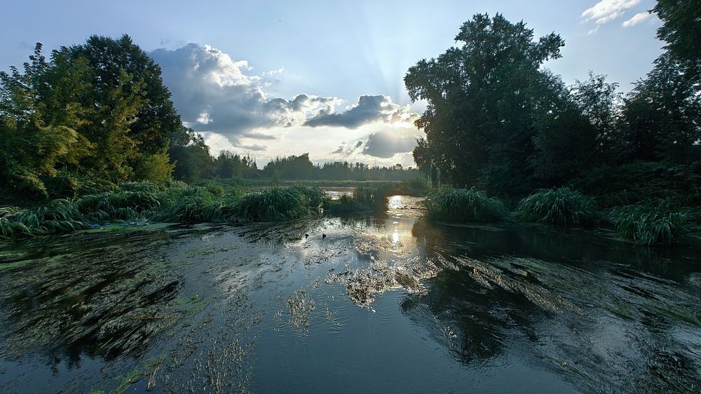 Photo #11002127