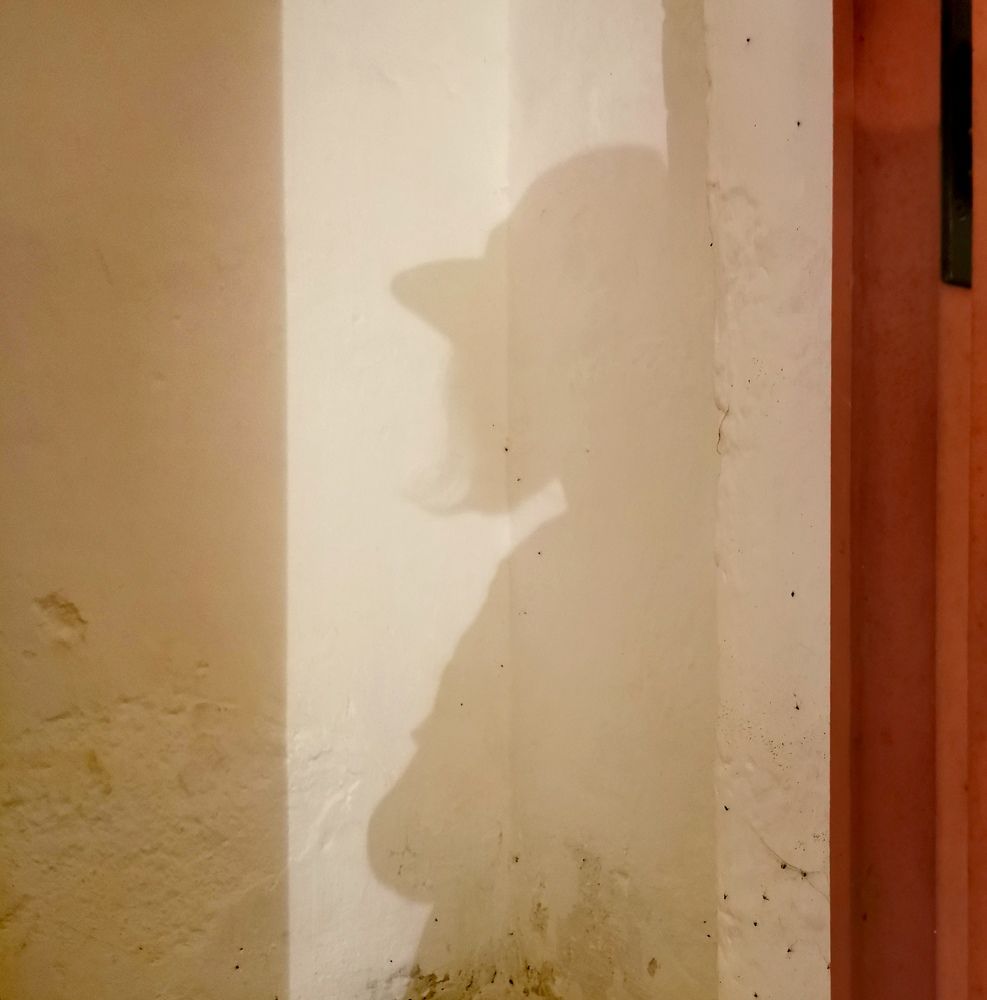 Photograph by Teresa Guerreiro