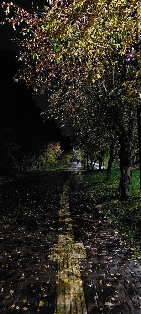 Photograph by Мария