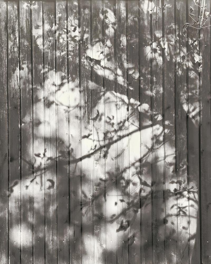 Photograph by Светлана Барабанова