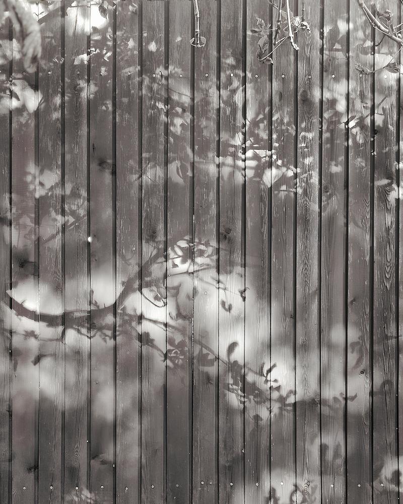 Photograph by Светлана Барабанова