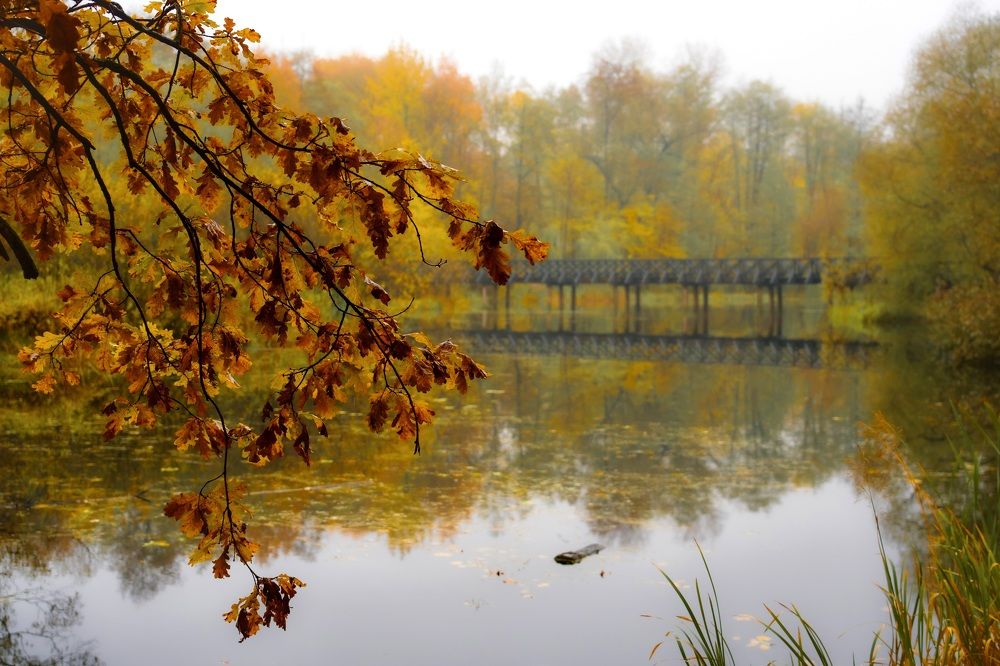 Photograph by Alexey Shevchenko