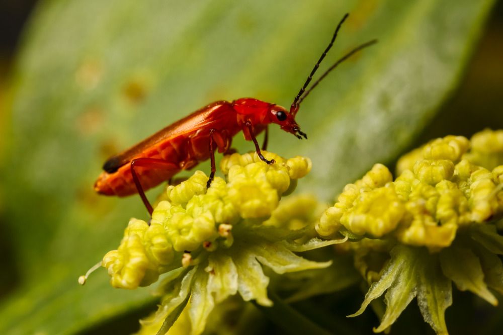 Photograph by Сергей Назаредский