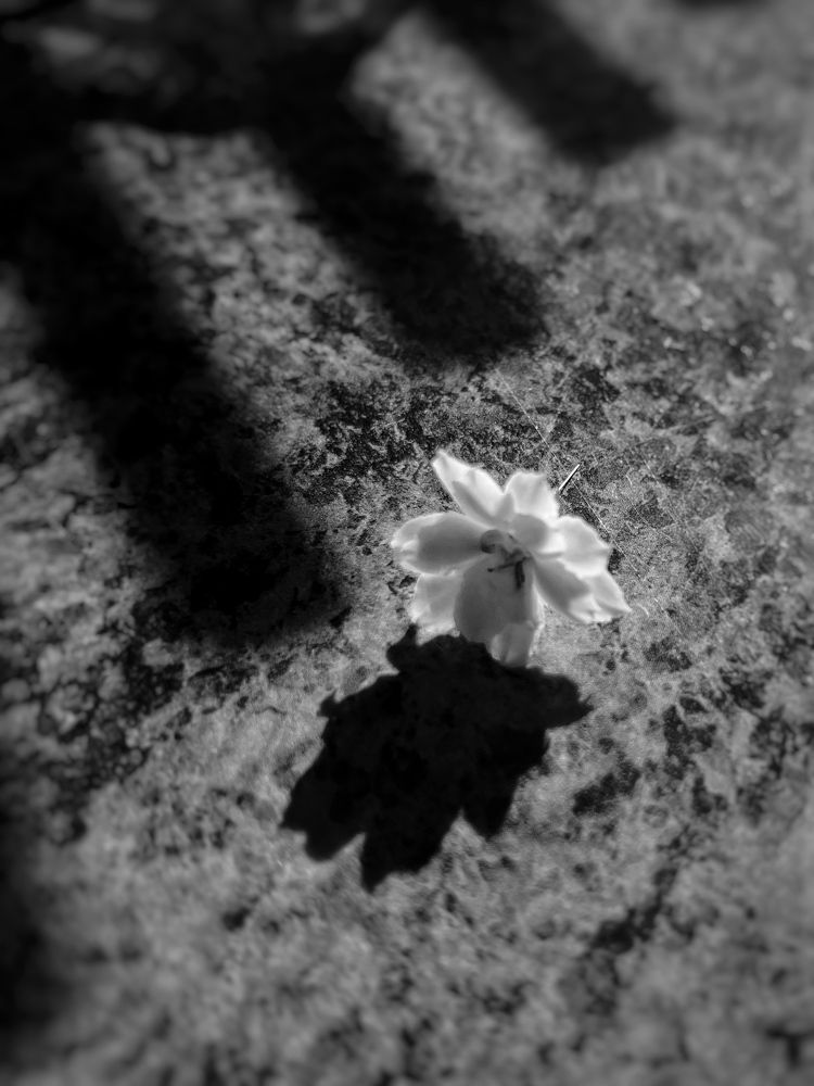 Photograph by Оксана Корепанова