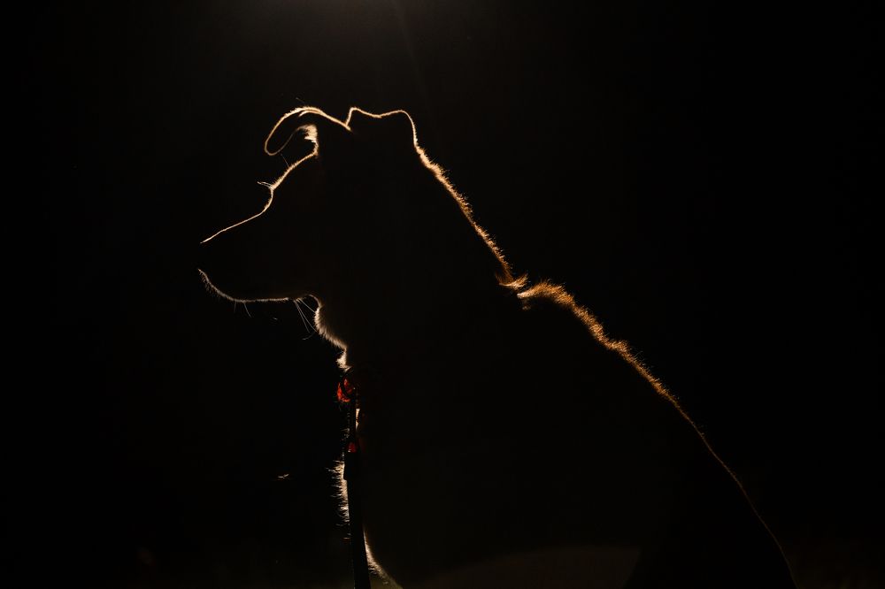 Photograph by Светлана Степашина