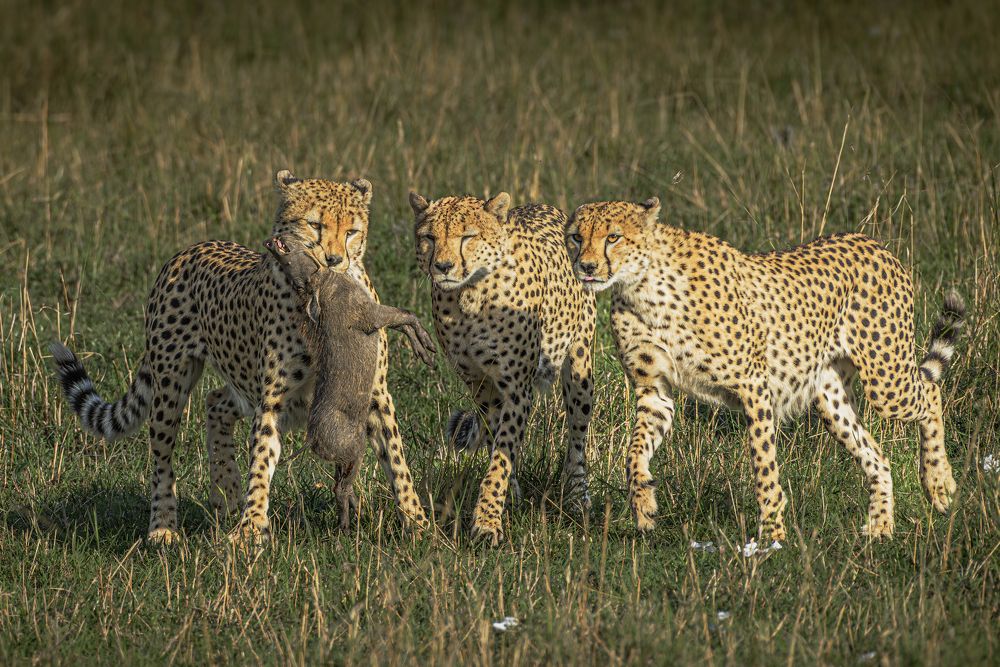 Photograph by Paolo Barbarini