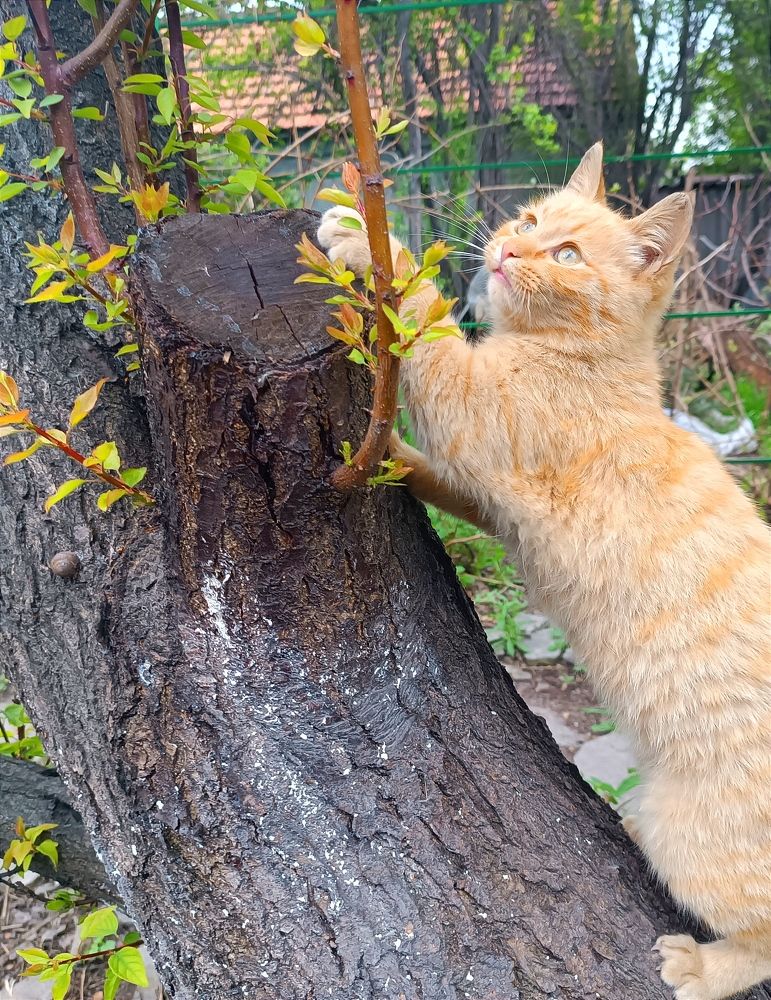 Photograph by Ангелина Воронцова