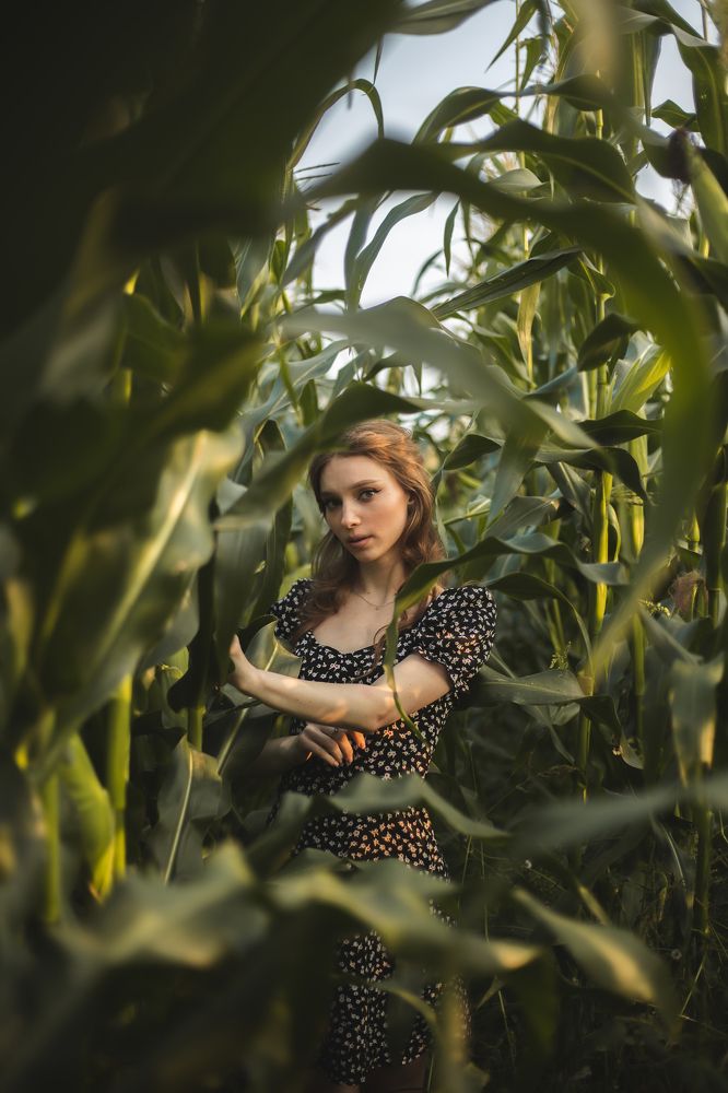 Photograph by Ilyakzntsv