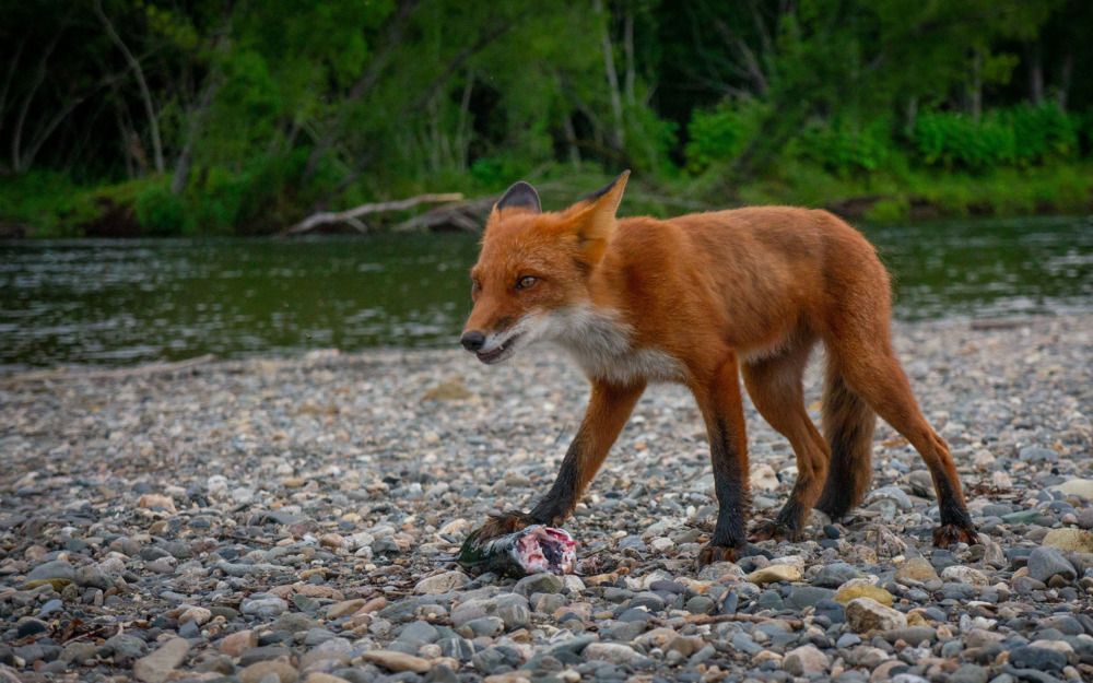 Фотография автора Михаил Назаров