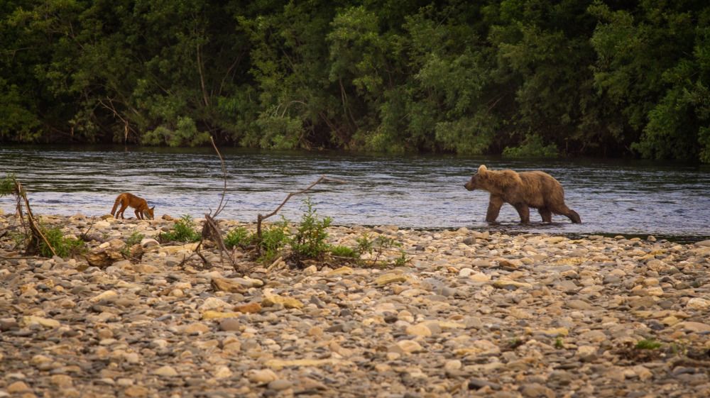 Фотография автора Михаил Назаров