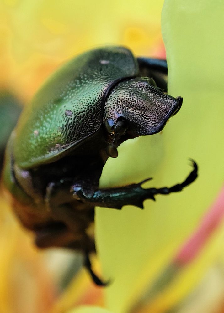 Фотография автора Михаил