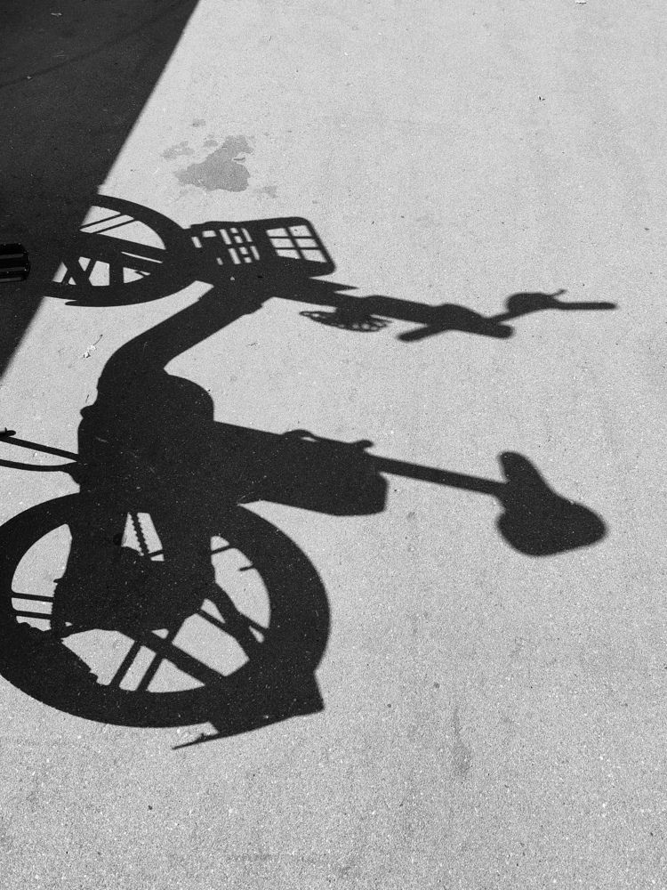 Photograph by Анастасия Лотова