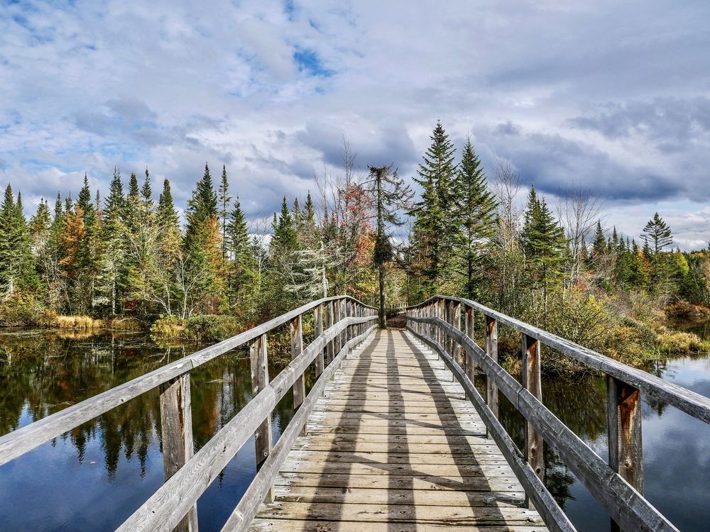 Photograph by Annie Trudel