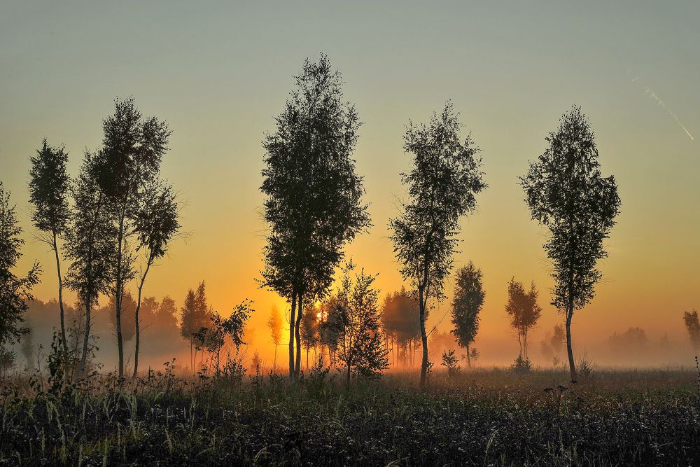 Photograph by Cергей Абакумов