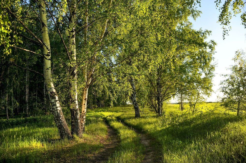 Photograph by Cергей Абакумов