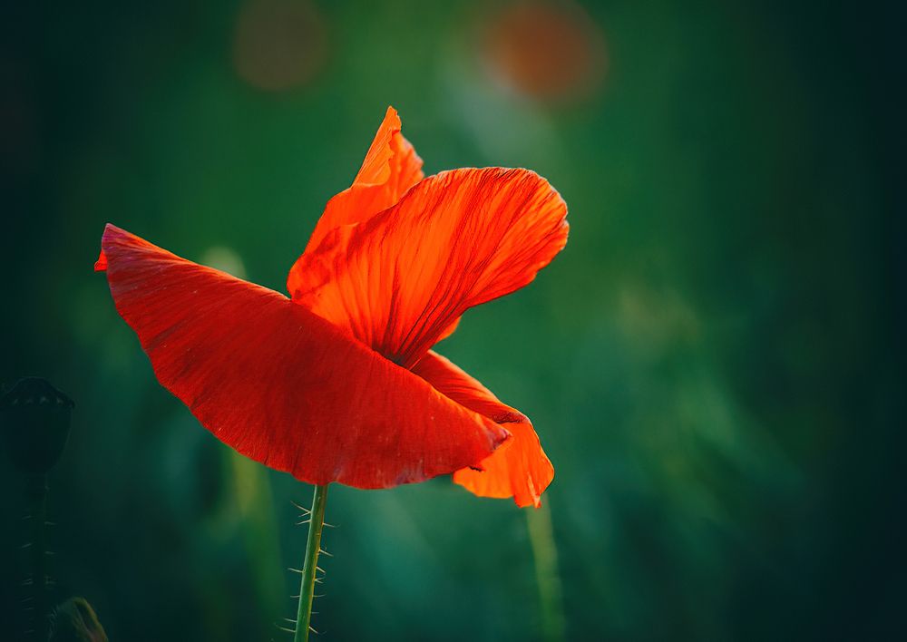 Photograph by Владимир