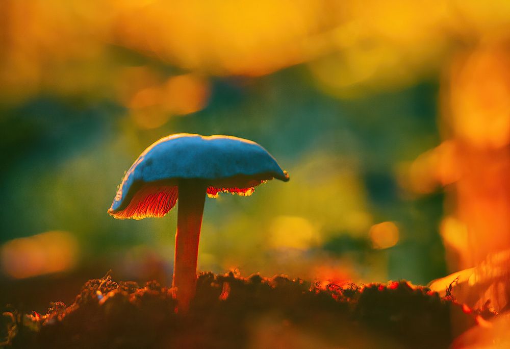 Photograph by Владимир