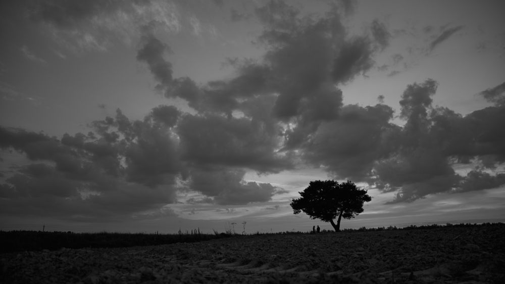 Photograph by Вікторыя Селятыцкая