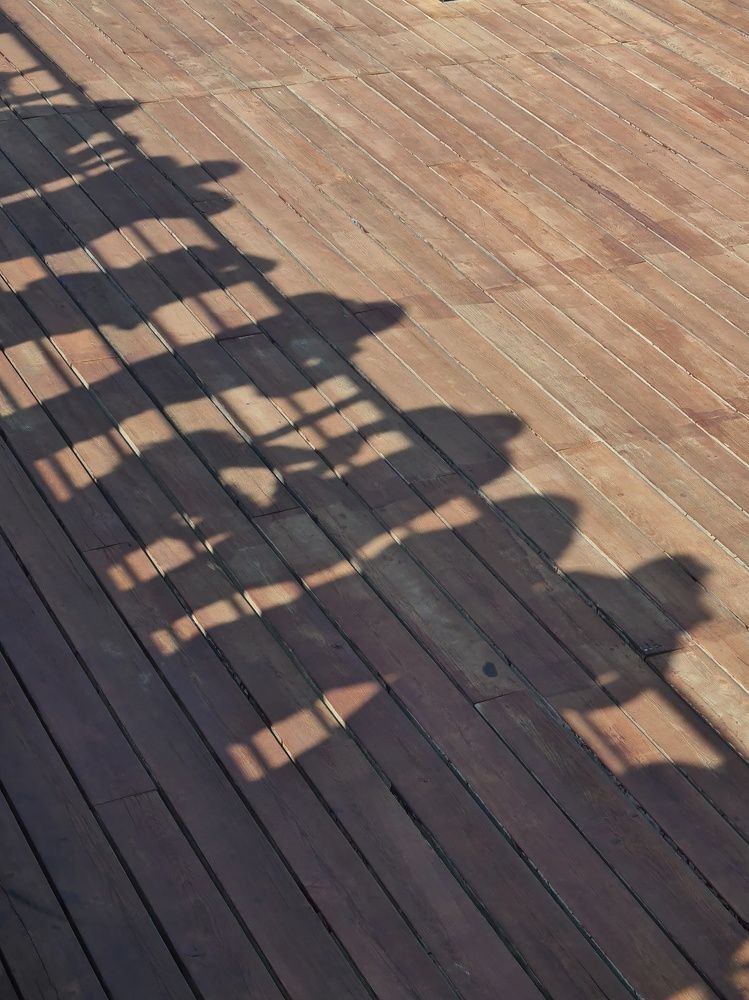 Photograph by Людмила Григорьева