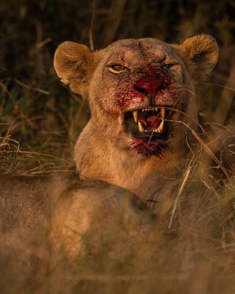 Photograph by Prasad Hamine